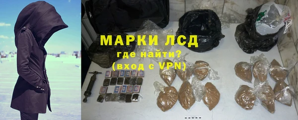 гашик Каменногорск