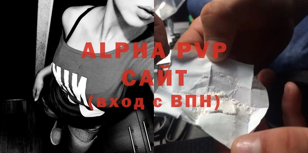 прущие грибы Каменка