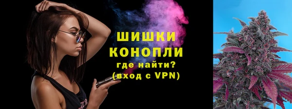 прущие грибы Каменка