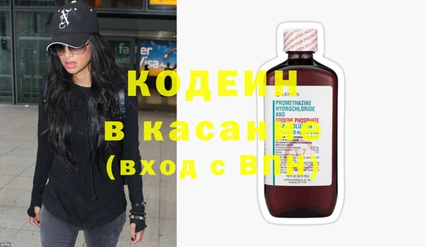 прущие грибы Каменка