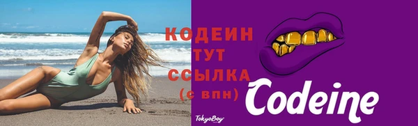 гашик Каменногорск