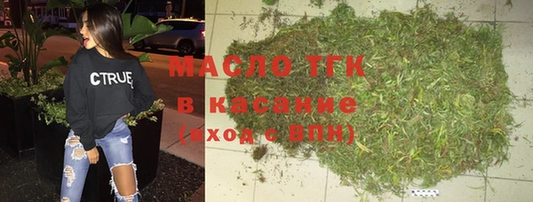 прущие грибы Каменка