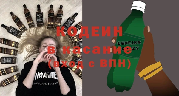 прущие грибы Каменка