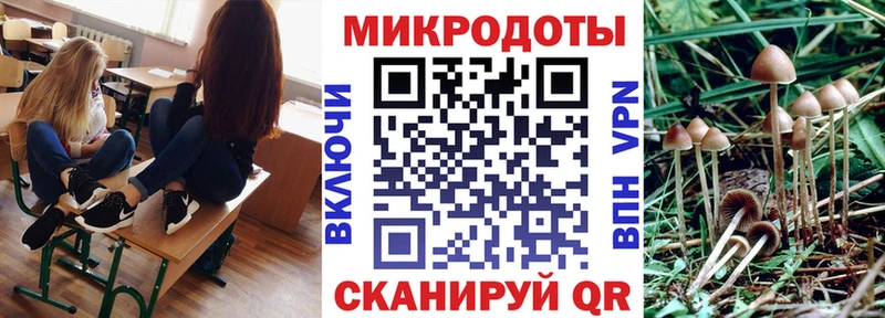 Псилоцибиновые грибы мухоморы  Купить закладки  Котовск 